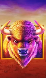Buffalo King