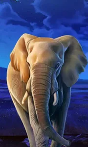 African Elephant